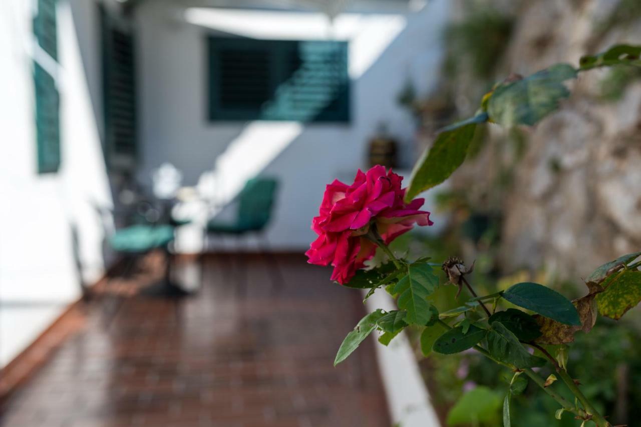 Holiday Elin Holiday home Sibenik